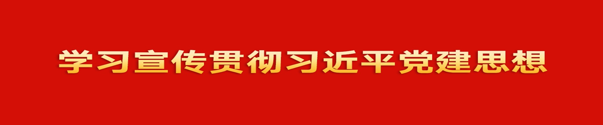习近平党建思想